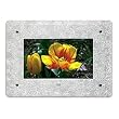 Kodak 1733468 10-Inch Frosted Floral Glass Digital Frame Faceplate
