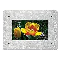 Kodak 1531672 7-Inch Frosted Floral Glass Digital Frame Faceplate
