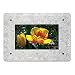 Kodak 1531672 7-Inch Frosted Floral Glass Digital Frame Faceplate