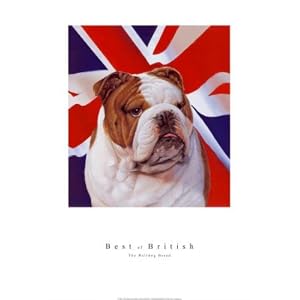 Best of British by Simon Mendez. Size 15.19 inches width by 16.32 inches height. High Quality Art Poster Print