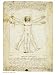 Human Proportions-Vitruvian Man by Leonardo Da Vinci Fine Art Print / Poster 23.75 x ...