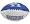 Kentucky Wildcats