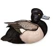 Spring Plumage Bluebill Duck Decoy