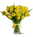 20 Yellow Tulips - Premium