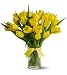 20 Yellow Tulips - Premium