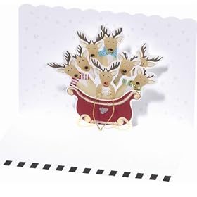Pop-Up Boxed Notes Holiday Cards - Reindeer