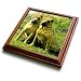 Dogs Chinese SharPei - Chinese SharPei - Trivets