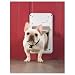 Petsafe SmartDoor Small