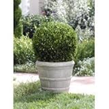 Single Ball Potted Boxwood Topiary (Green and Off White) (29.5