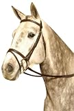Kincade Lined Event Bridle