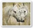 Rain by Jill O'Flannery 25"x30" Art Print Poster