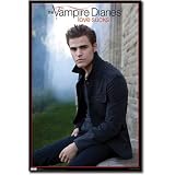 (22x34) The Vampire Diaries Stefan TV Poster Print