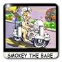 Londons Times Funny Society Cartoons - Naked Police - Light Switch Covers - double toggle switch