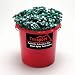 Texsport Bucket Packed 10in Steel Spike Tent Stakes-100 Units