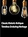 ChiKoo ST64 -1 Pack Vintage Edison Bulbs-Squirrel Cage Filament-60 Watt Antique Edison Bulbs- Dimmable
