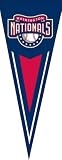 Washington Nationals Pennant