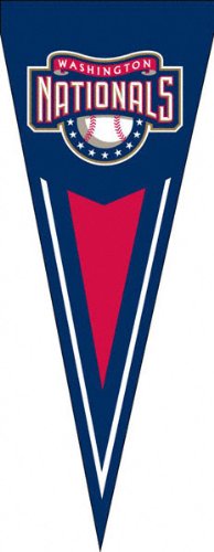 Washington Nationals Pennant