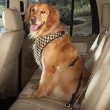 CHOCOLATE - Houndstooth Car Harness