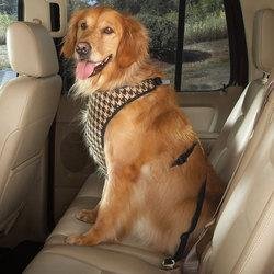 CHOCOLATE - Houndstooth Car Harness