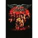 Aerosmith - Band Orange Tapestry