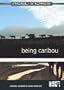 Being Caribou