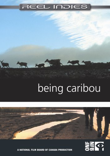 Being Caribou