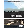 Being Caribou