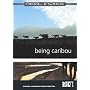 Being Caribou