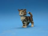 Catissimo - Luger - Little Kitten Figure 7-12 cm
