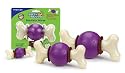 Premier Busy Buddy Dog Toy Collection