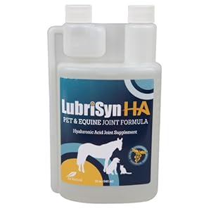 LubriSyn 32-Ounce Lubricant