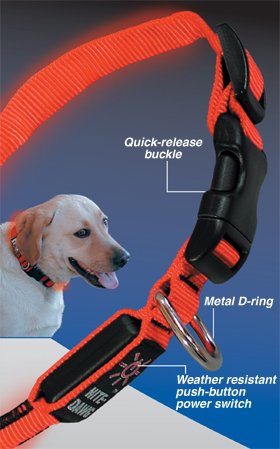 Nite Dawg Collar Orange - LG