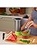 Aqua Zinger by Zing Anything, Stainless Steel Infuser Bottle, Double Wall Insulate Reusable Water Bottle, Citrus Infusion, Active Infusion, Food Grade 18/8 Stainless Steel, Hydration, 20 oz., Green