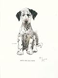 Loopy, the Ugly Puppy by Cecil Aldin. Size 12.00 X 16.00 Art Poster Print