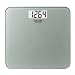 Taylor Lithium Glass Scale - Silver
