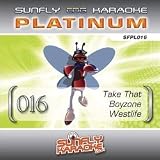 Sunfly Karaoke Platinum Series Volume 16 (CD+G)