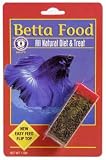 How to Choose a Betta Fish 41k rz9MhQL. SL160 How to Choose a Betta Fish