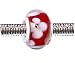 Pandora Style Charm Bead (Z57) Murano Style / Lampwork Glass (14mm x 9mm) (fits Troll too)