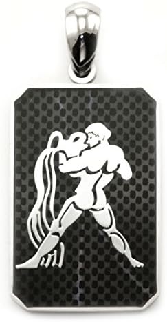 James Cavolini Men's Stainless Steel Zodiac Aquarius Dog Tag Pendant 18 Inches