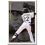 Pittsburgh Pirates (Andrew McCutchen) Sports Poster Print - 22x34 Poster Print, 22x34