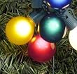 Pack of 100 Red G50 Replacement Christmas Bulbs for C9 Socket