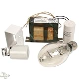 250 Watt Metal Halide Ballast - Transformer and Capacitor Only