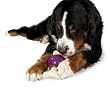 Premier Busy Buddy Bouncy Bone Dog Toy, Large