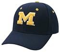 Michigan Wolverines ''M'' Navy DH Hat