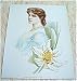 1904 Victorian Lithobraph Lily Langtry Eminent Actresses Of Our Time