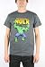 Search : Men's Marvel Comics The Hulk Incredible T-shirt
