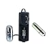 California Exotics / Swedish Erotica Silver Bullet Adult Sex Toy Kit