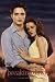 Twilight 4 Breaking Dawn Movie Edward and Bella Poster Print - 24x36 Poster Print, 24x36