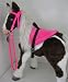 Sporting Goods : Butterscotch S'mores Interactive Horse Saddle Set Hot Pink