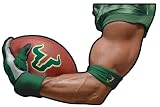 Car Magnet University of South Florida Bulls USF